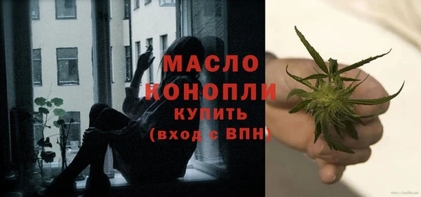 spice Инсар