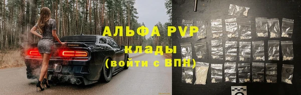 spice Инсар