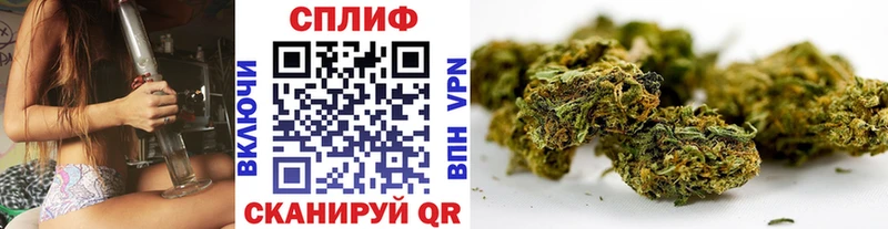 МАРИХУАНА ГИДРОПОН  Камешково 